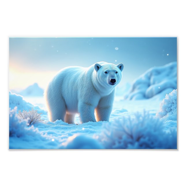 Foto Serene Ártico Sunset com Urso Polar - Natureza (Frente)