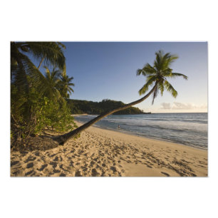Foto Seychelles, Ilha de Mahe, praia de Anse Takamaka,
