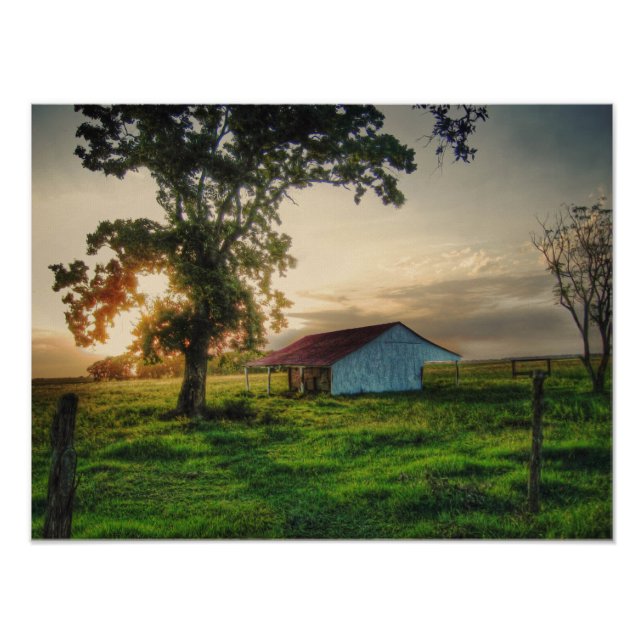 Foto Shed Antigo (Frente)