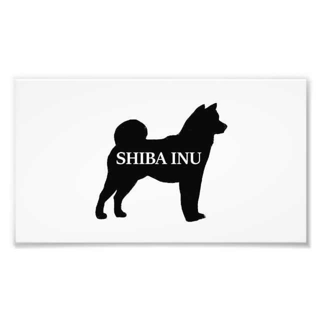 Foto Shiba Inu nome silo preto (Frente)