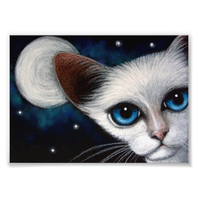 Foto SIAMESE CAT 7" x 5", papel fotográfico Kodak (Sati (Frente)