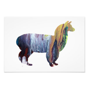 Foto Silhueta da alpaca