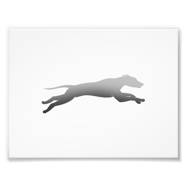 Foto Silhueta Whippet Running (Frente)