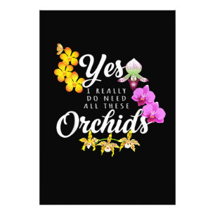 Foto Sim, eu realmente preciso de todas essas orquídeas