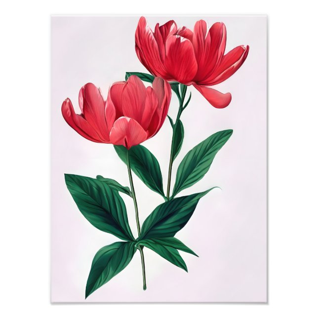 Foto Simples Elegância: Duas Flores Vermelhas  (Frente)