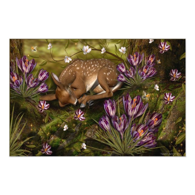 Foto Sinais de Primavera (Frente)