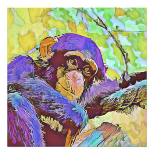 Foto smartmix animal - chimpanzé 3