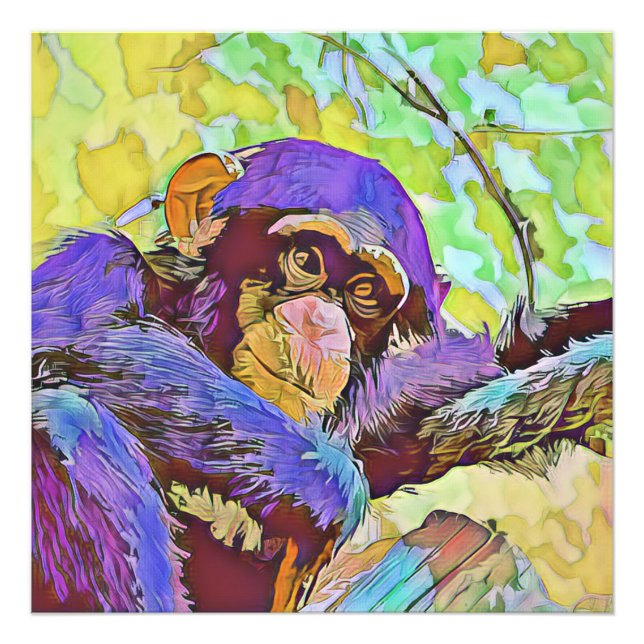 Foto smartmix animal - chimpanzé 3 (Frente)