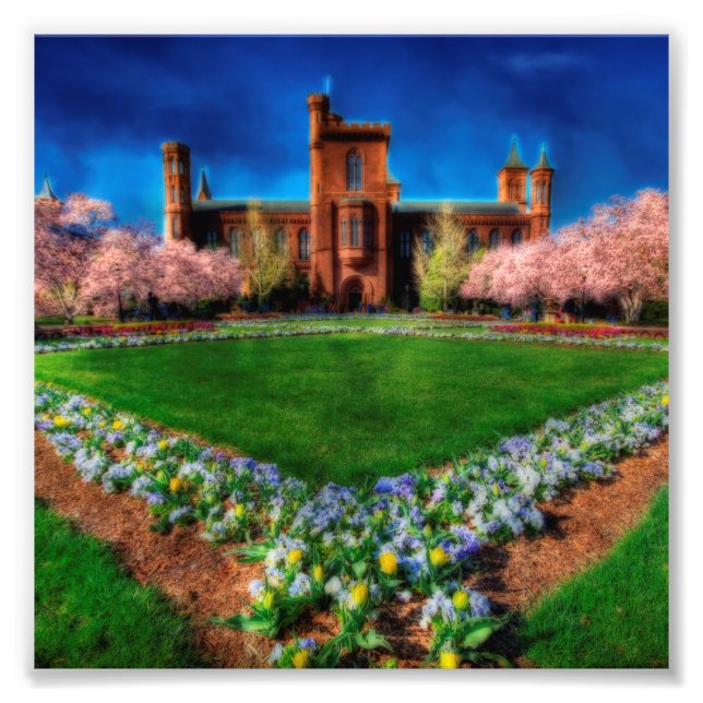 Foto Smithsonian Castle Cherry Blossoms (Frente)