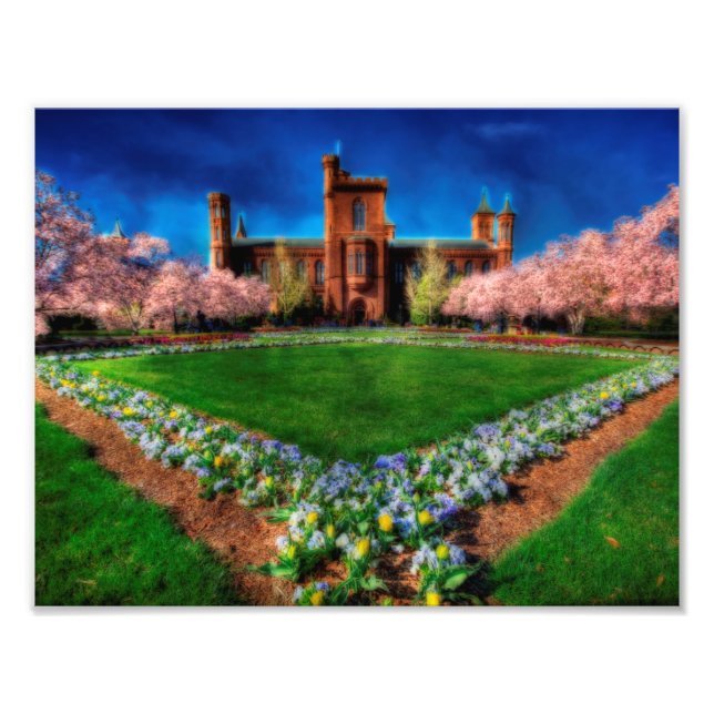 Foto Smithsonian Castle Cherry Blossoms (Frente)