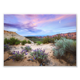 Foto Snow Canyon Sunrise Wildflower Paisagem