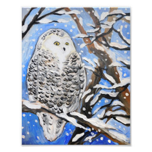 Foto Snow Owl