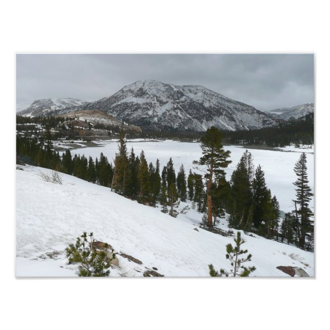 Foto Snowy Ellery Lake California - Paisagem de inverno (Frente)