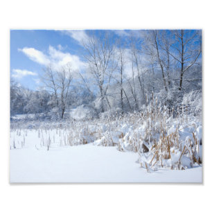 Foto Snowy Martaler Pond Trees and Reeds