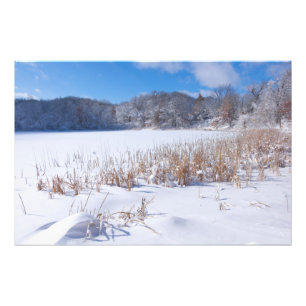 Foto Snowy Martaler Pond Winter Scense