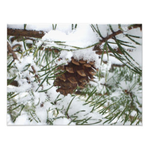Foto Snowy Pine Cone I Winter Nature Photoshop