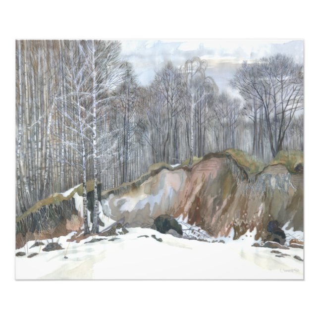 Foto Snowy ravine (Frente)