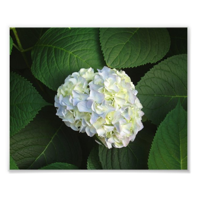 Foto Só uau! (Frente)