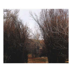 Foto Sobrecarga de Bannack de Queda