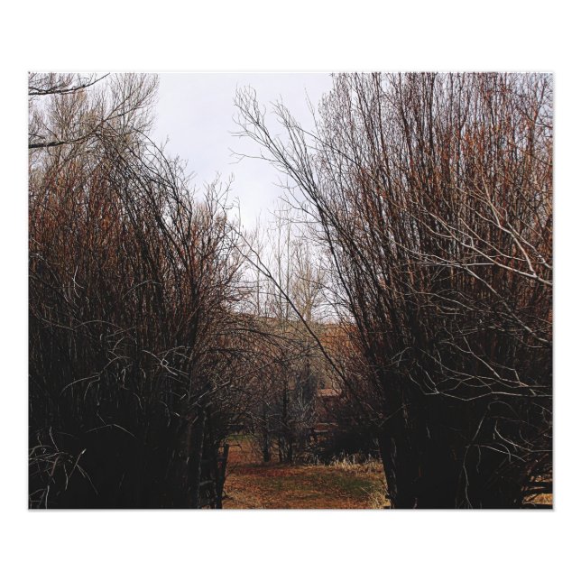 Foto Sobrecarga de Bannack de Queda (Frente)
