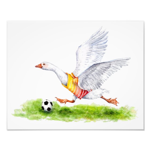 Foto Soccer Goose (Frente)