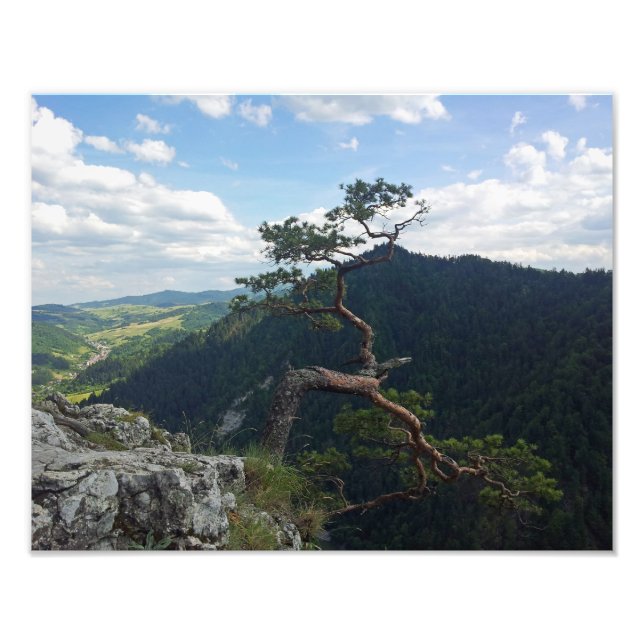 Foto Sokolica, Pieniny (Frente)