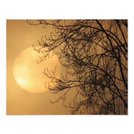 Foto Sol da Madrugada