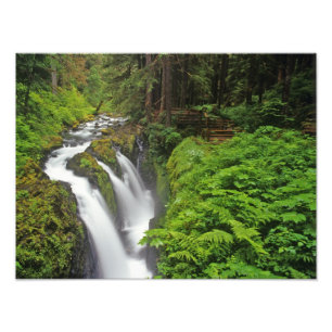Foto Sol Duc Falls in Olimpiadas National Park
