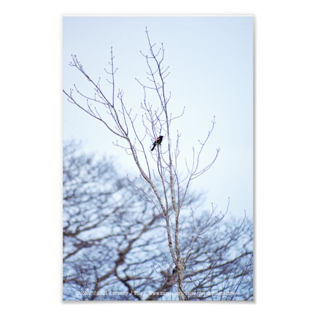 Foto Solista (Frente)