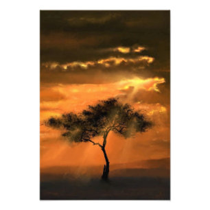 Foto Solitário