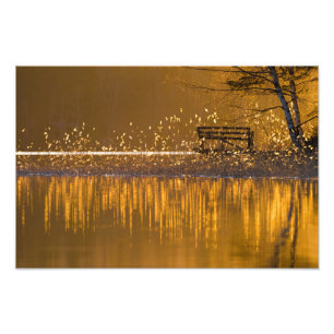 Foto Solitário corrido pelo lago à luz do ouro