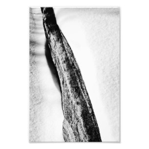 Foto solitário frio de duro longo