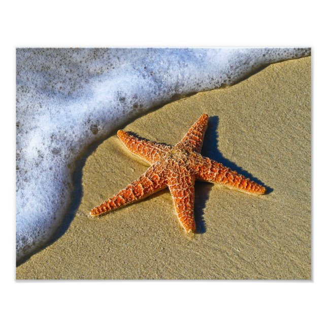 Foto Solteiro Starfish na praia (Frente)