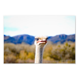 Foto Solvang, CA