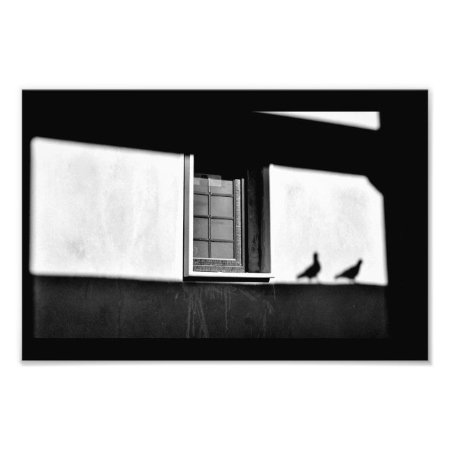 Foto Sombras de Pombo (Frente)