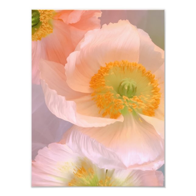 Foto Sonhador (Frente)