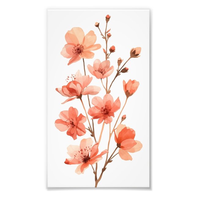 Foto Sonhos de Flor de Coral (Frente)