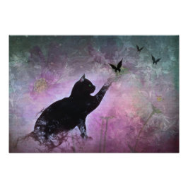 Foto Sonhos de gatinho