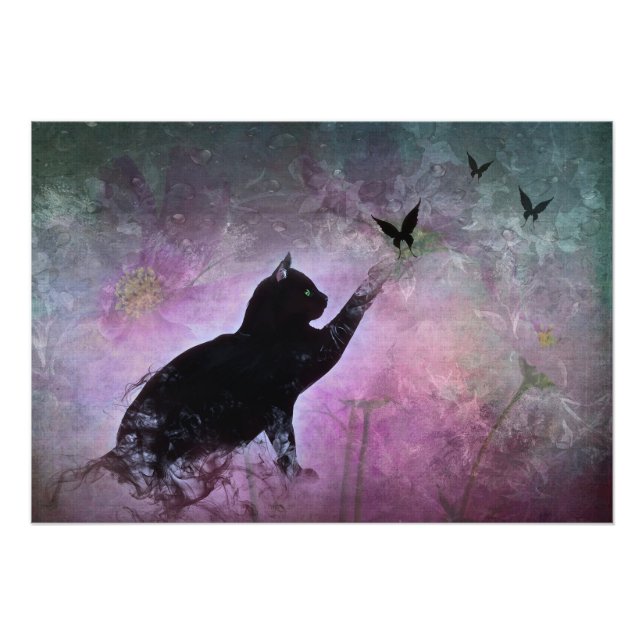 Foto Sonhos de gatinho (Frente)