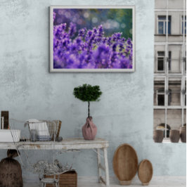 Foto Sonhos de Lavanda