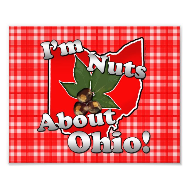 Foto Sou Loucos de Ohio, Engraçado Red Buckeye Nut (Frente)