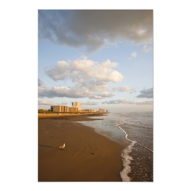 Foto South Padre Island, Texas, EUA, resort hotels, (Frente)