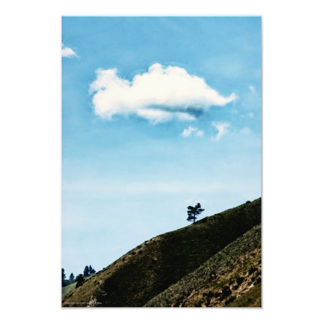 Foto Sozinha (Frente)