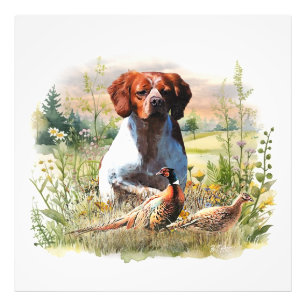 Foto Spaniel da Bretanha – Campo, Foco, Faisão, Arte