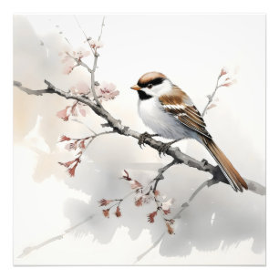 Foto Sparrow na ramificação Primavera