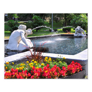 Foto Spit e Spat - PARK CONGRESS