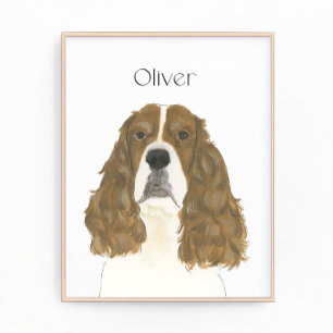 Foto Springer Spaniel Inglês Vermelho e Branco Arte