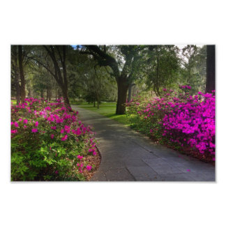 Foto Springtime Em Forsyth Park, Savannah