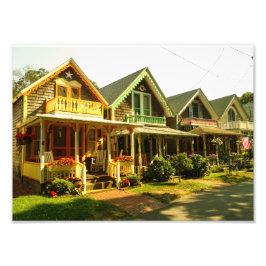 Foto Springtime no jardim da vinha de Martha - MVCMA