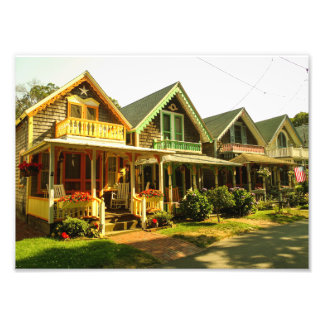 Foto Springtime no jardim da vinha de Martha - MVCMA